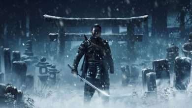 إستيديو Sucker Punch يعمل على لعبة تعاونية جديدة