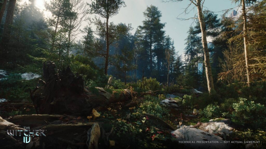 تفاصيل عرض The Witcher 4 التقني