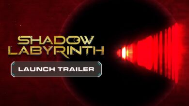الكشف عن عرض إطلاق Shadow Labyrinth
