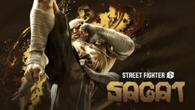 اسلوب لعب شخصية Sagat من لعبة Street Fighter 6